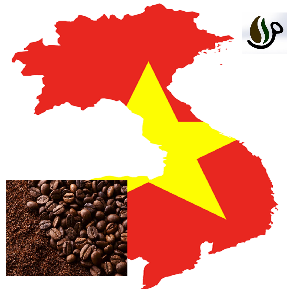 دانه قهوه ویتنام SCREEN 18