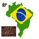 دانه قهوه برزیل