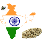 دانه قهوه پلنتیشن