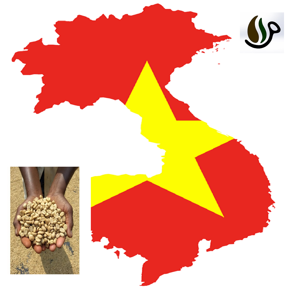 دانه قهوه ویتنام SCREEN 18 دانه قهوه ویتنام SCREEN 18