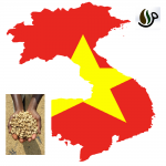 دانه قهوه ویتنام SCREEN 18