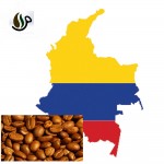 دانه قهوه کلمبیا