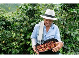 آشنایی با قهوه کلمبیا